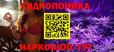 герыч Бийск