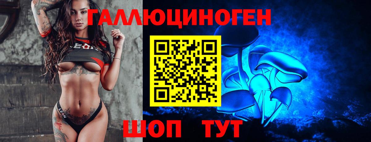 Псилоцибиновые грибы Cubensis Кольчугино